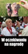 Zauważyliście jak im oczy błyszczą?
