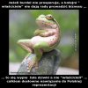 Jeżeli burdel nie prosperuje, a kolejni