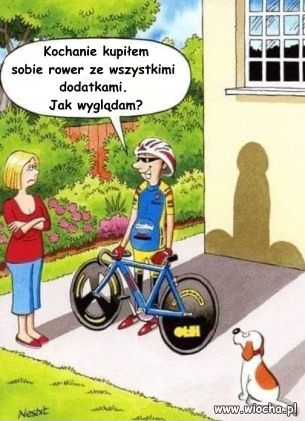 Wyglądają i zachowują się jak uje