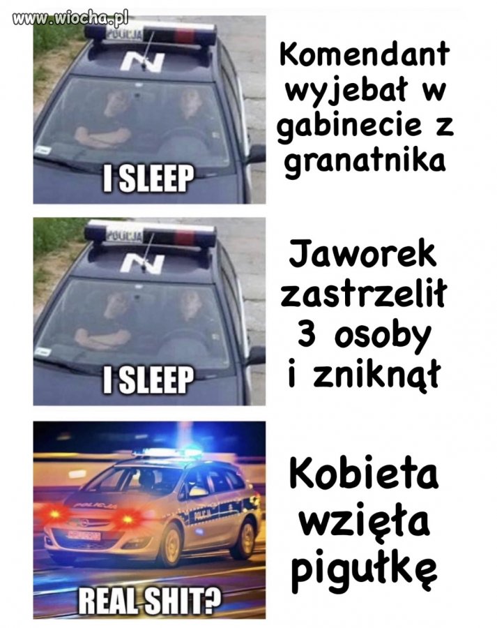 Policja polska