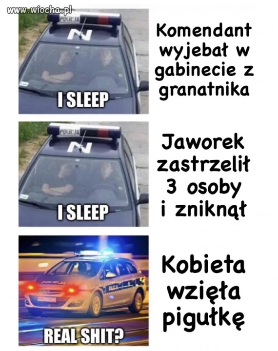 Policja polska