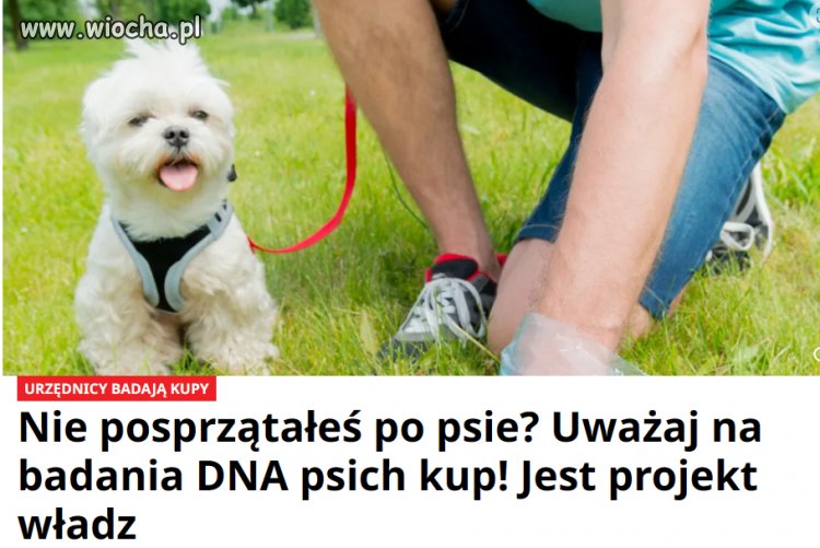 Nowy sposób na zasrany kraj