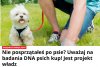 Nowy sposób na zasrany kraj