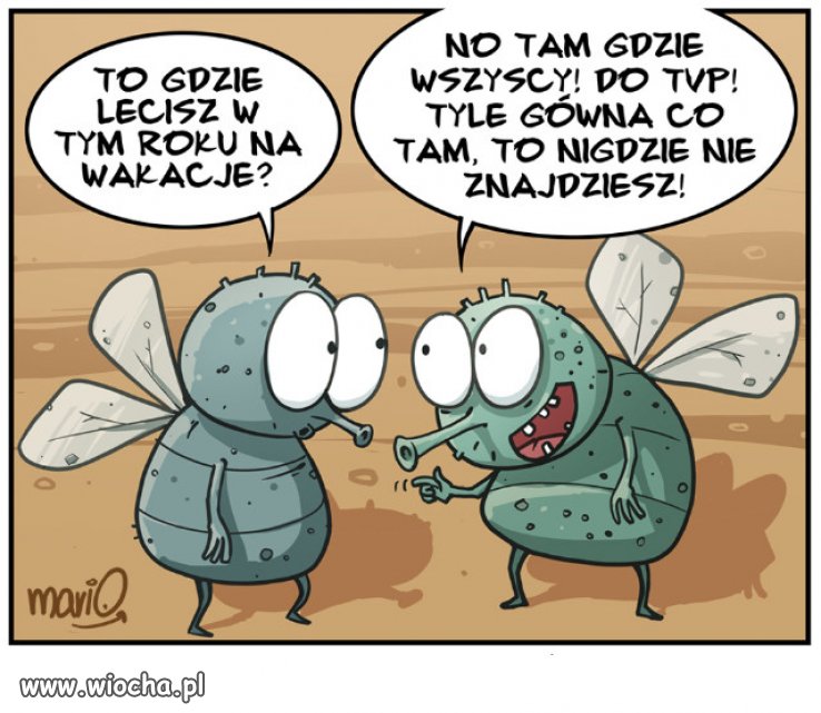 Wybory nadchodzą...
