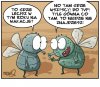 Wybory nadchodzą...