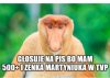 Argumenty wyborcy PIS