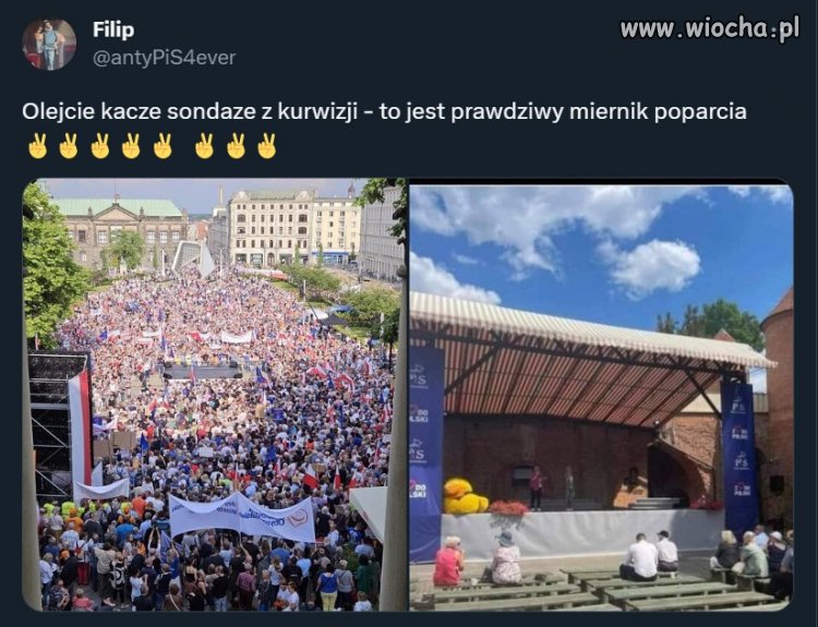 Olejcie kacze sondaże, co nie znaczy, że macie spocząć na laurach!