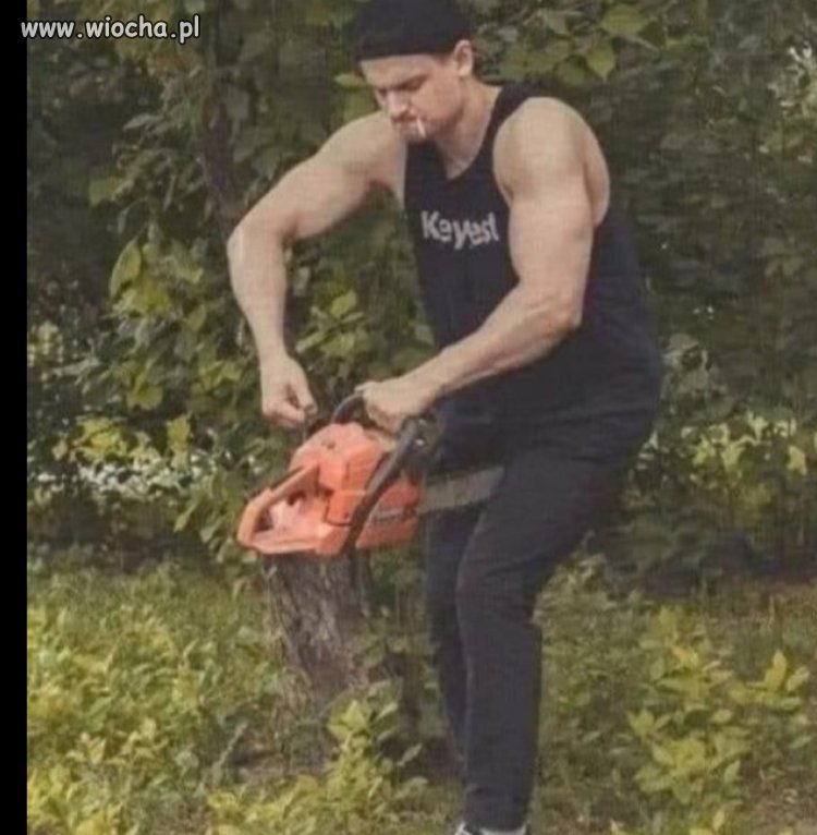 Kastracja 
