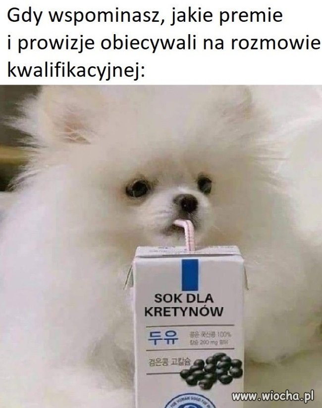 Potwierdzam 