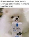 Potwierdzam 