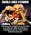 Cześć jej pamięci 