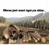 Co wy skur...y robicie?