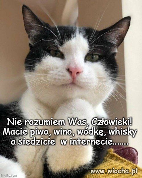 Sierściuch się zadumał