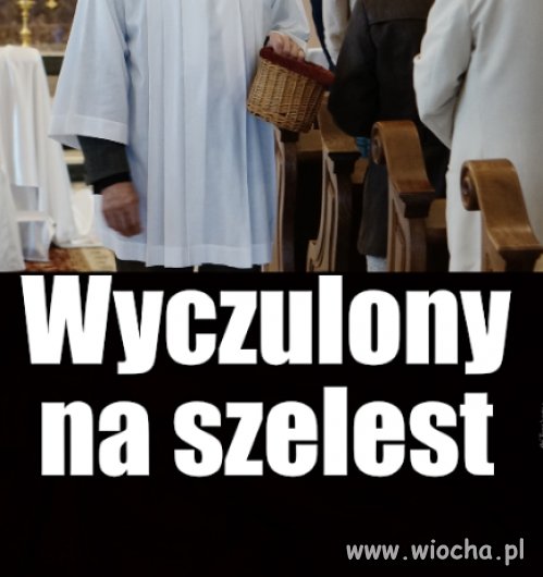 Niuchacze