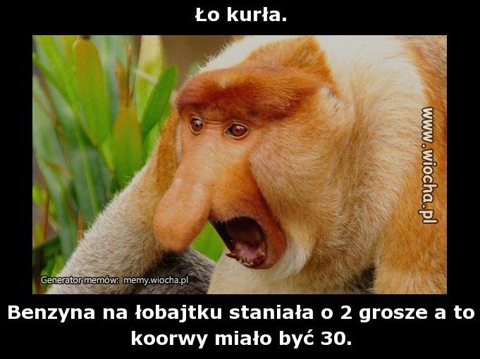 Ło kurła.