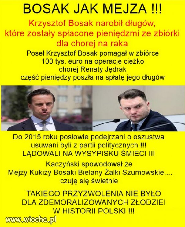 Wszyscy cwaniacy, złodzieje i oszuści, łączcie się z PiSem!