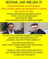 Wszyscy cwaniacy, złodzieje i oszuści, łączcie się z PiSem!