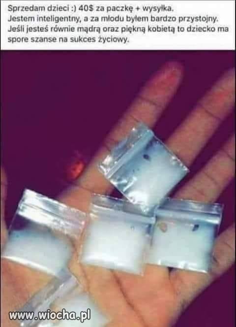 Dawca nawet przystojny 