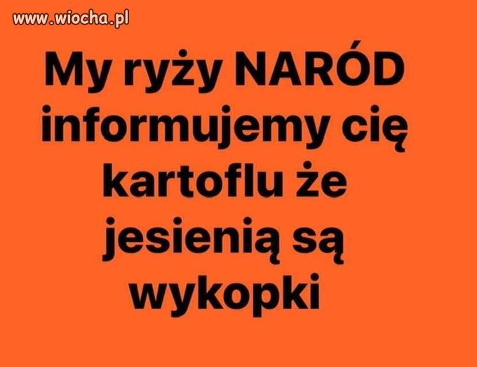 Oświadczenie