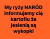 Oświadczenie