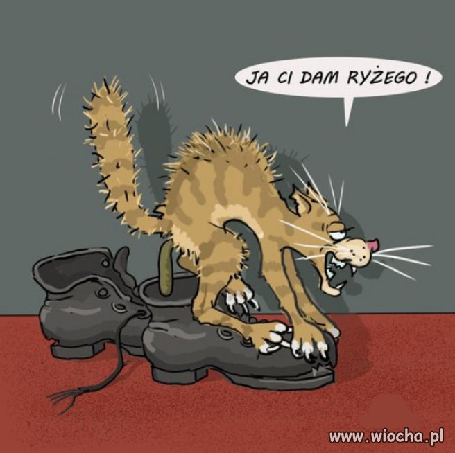 Prawdziwy wróg narodu to Jarozbaw Kaczynski!!!