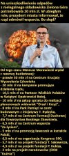 PiS w pigułce 
