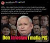 Po prostu mafia