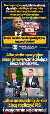 Konpederastia 