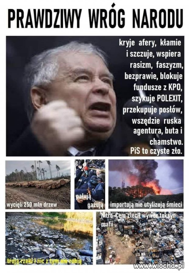 Przedstawiam Państwu! Oto...