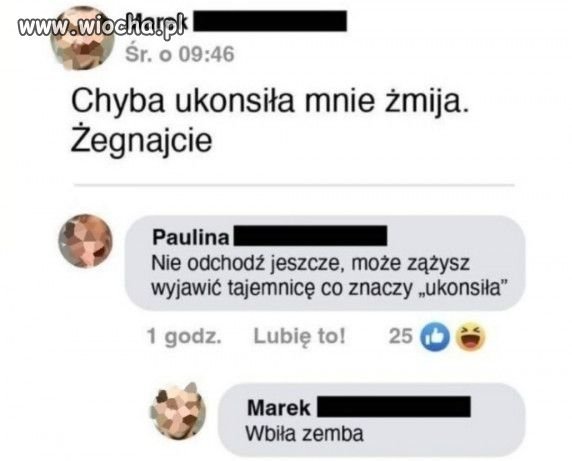 Żmija.