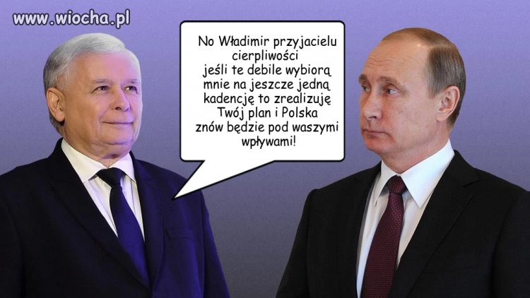 Boss zorganizowanej grupy przestępczej!