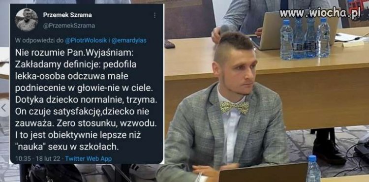 Lekkie podatki, lekki klaps, lekka... pedofilia. Program Konfedarosji.