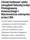 Fajni ci ludzie pisu