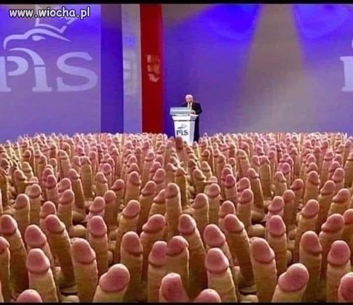 Prawdziwe oblicze PIS-u