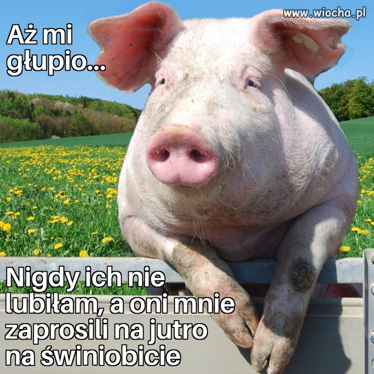 Więcej optymizmu ludzie 