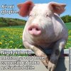 Więcej optymizmu ludzie 