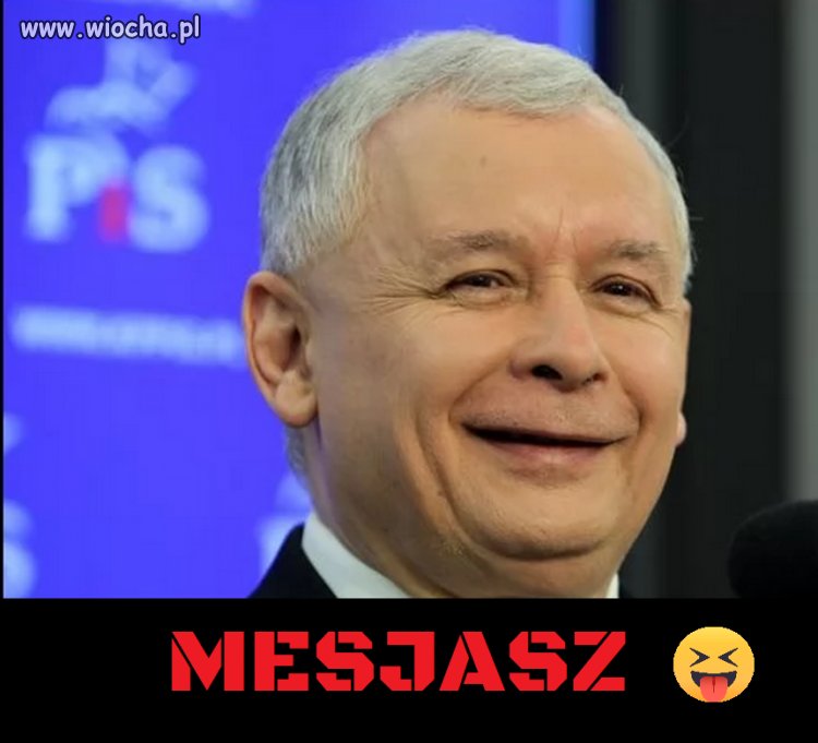 Elektorat tak to widzi