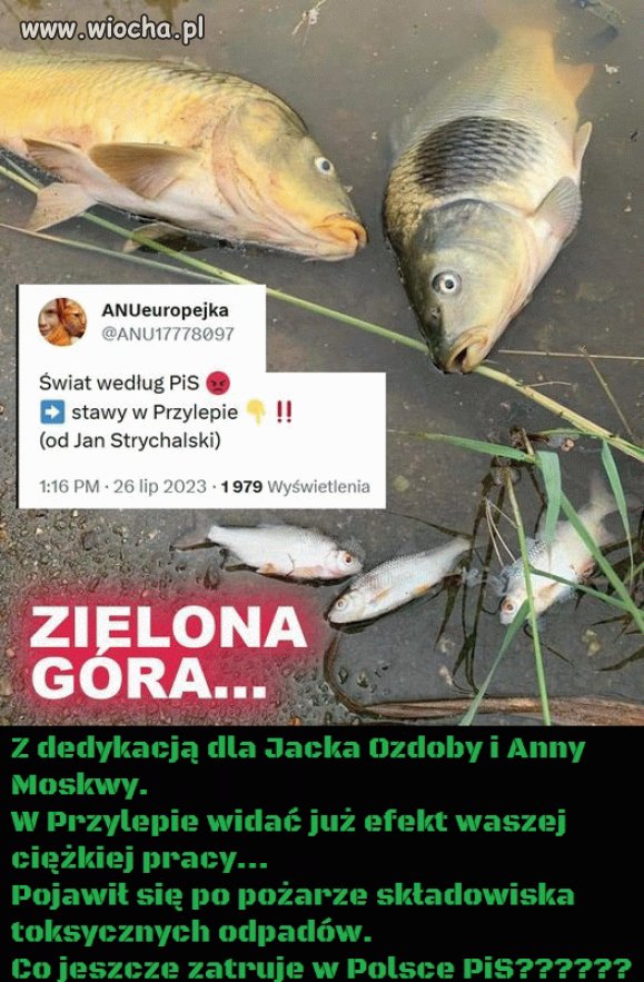 Służby jak widać "działają sprawnie"