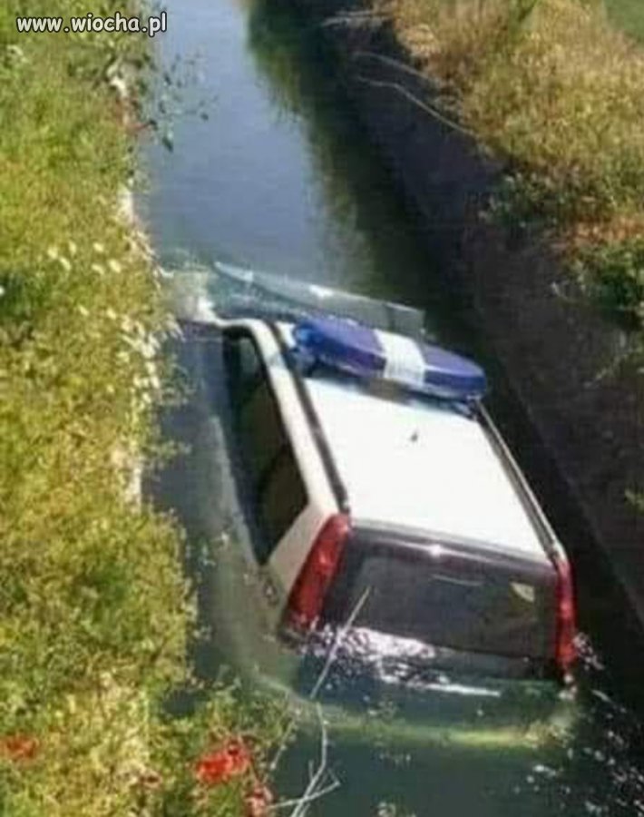 Pieski małe dwa, chciały przejść przez rzeczke