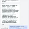 I może jeszcze frytki do tego?