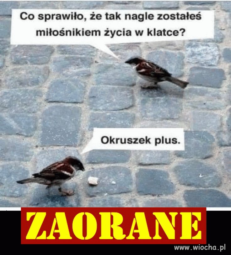 Nic dodać, nic ująć