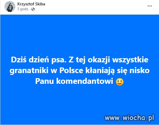 Spóźnione 
