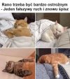 Rano nie ma żartów