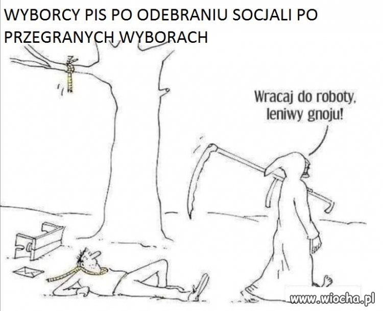 No zobaczymy