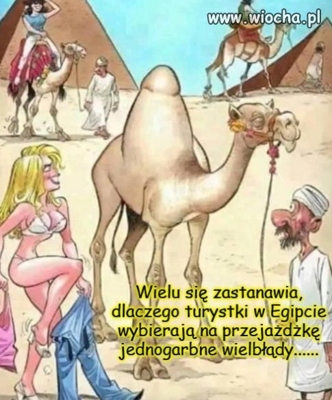 Podobno właśnie to dziwi