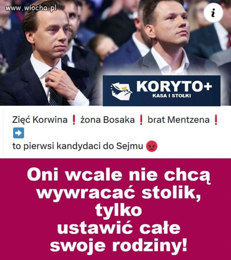PiS i konfederosja jeden syf