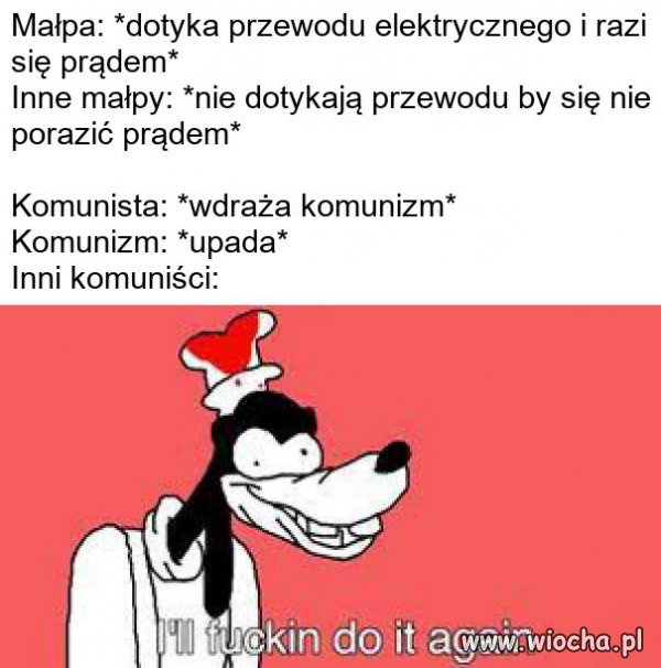 Zandberg i spółka 