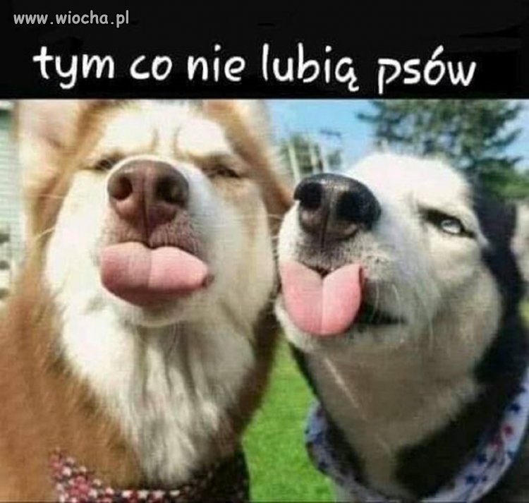 Miłego dnia