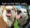 Miłego dnia