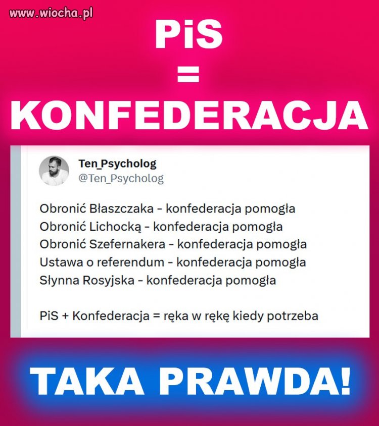 Konfederacja to #PomagierzyPiS na bardzo krótkiej smyczy